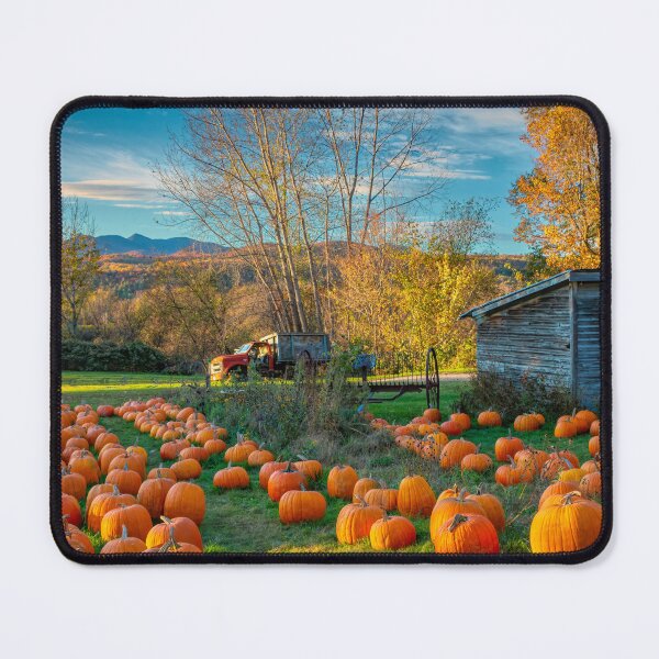 Item preview, The Pumpkin Field designed and sold by Viv Thompson Photography .