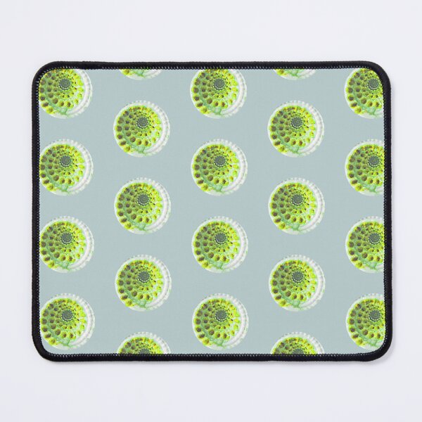 Item preview, Sundial Shell Polka Dot in Duck Egg Blue designed and sold by LisaLeQuelenec.