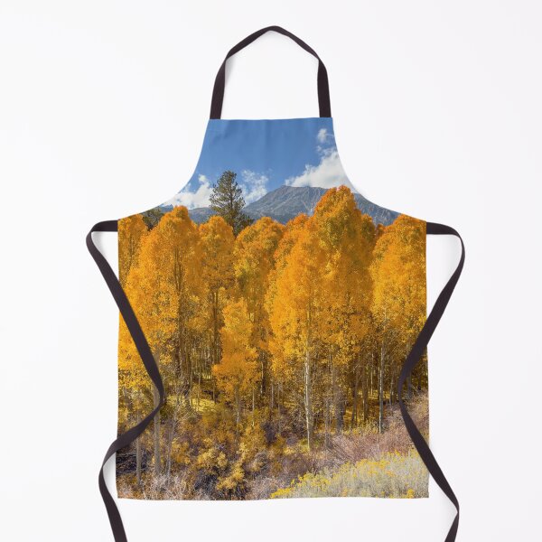 Item preview, Aspen Forest designed and sold by jvnimages.