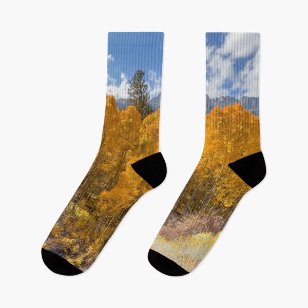 Item preview, Aspen Forest designed and sold by jvnimages.