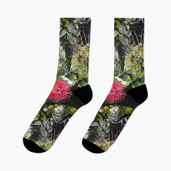 Item preview, Ohia tree at Kilauea  designed and sold by KimberlyBozeman.