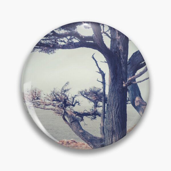 Item preview, Cypress Tree designed and sold by jvnimages.