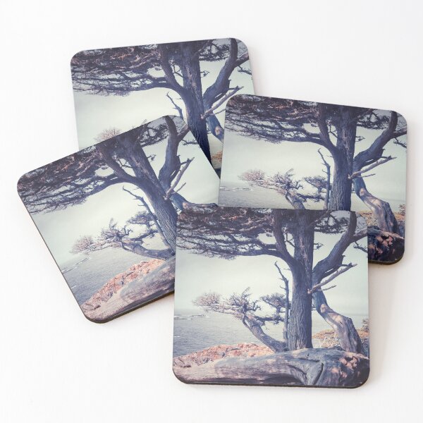 Item preview, Cypress Tree designed and sold by jvnimages.