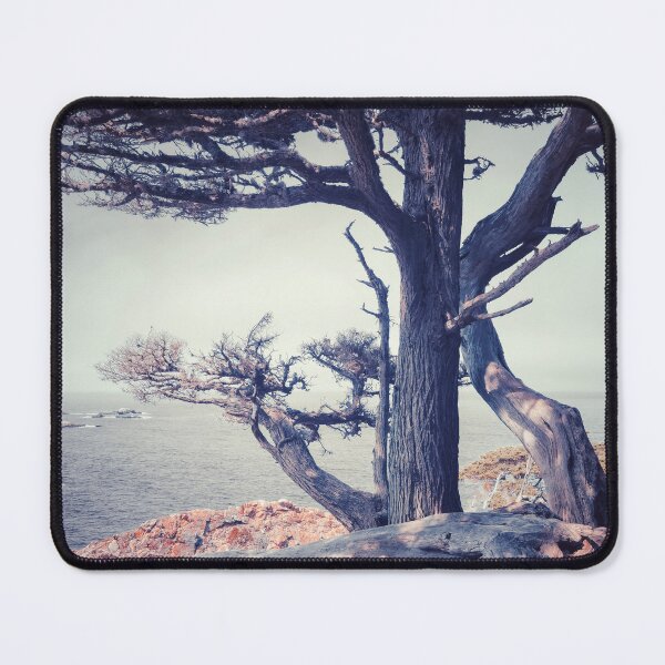 Item preview, Cypress Tree designed and sold by jvnimages.