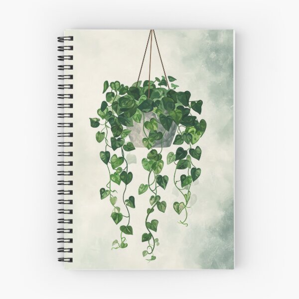 Item preview, Hanging indoor plant illustration designed and sold by Plant-shop.