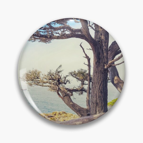 Item preview, Cypress Tree designed and sold by jvnimages.