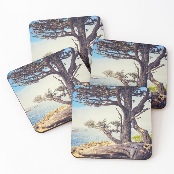 Item preview, Cypress Tree designed and sold by jvnimages.