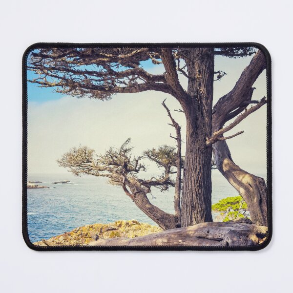 Item preview, Cypress Tree designed and sold by jvnimages.