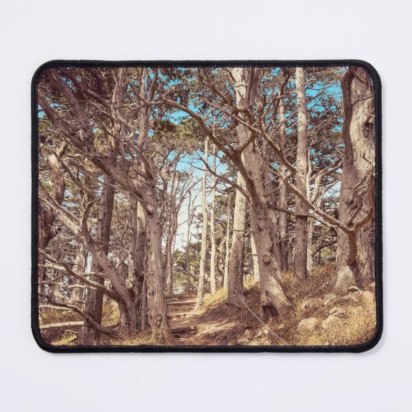 Item preview, Cypress Forest designed and sold by jvnimages.