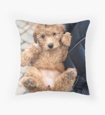 goldendoodle pillow pottery barn