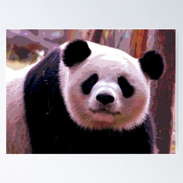 Cute Baby Panda Wall Art for Sale