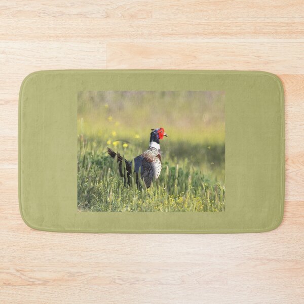 Item preview, Ring-necked Pheasant In The Field designed and sold by CarolM.