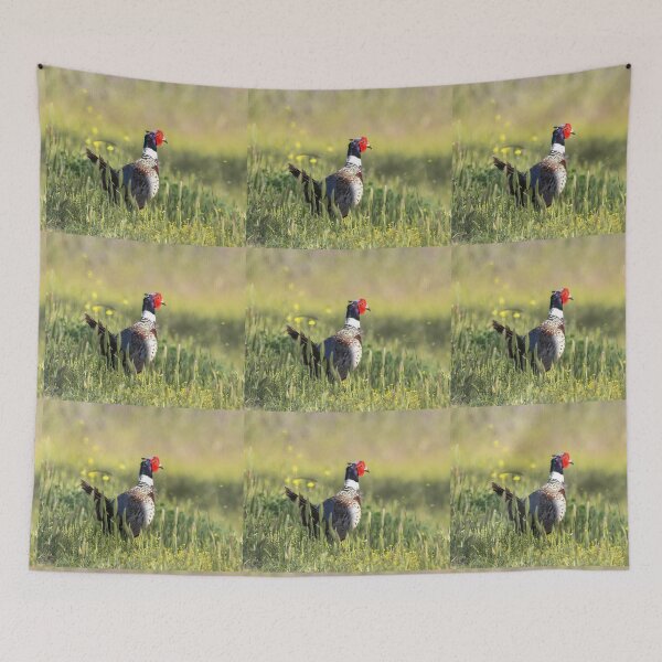 Item preview, Ring-necked Pheasant In The Field designed and sold by CarolM.