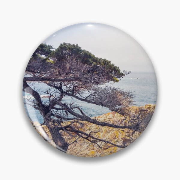 Item preview, Cypress  designed and sold by jvnimages.