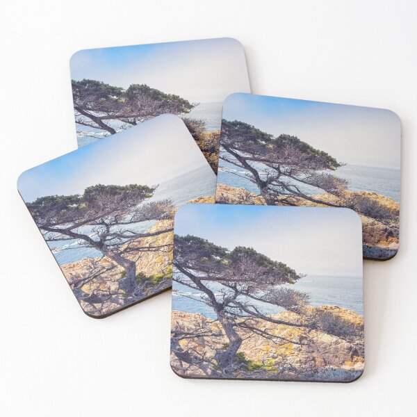 Item preview, Cypress  designed and sold by jvnimages.