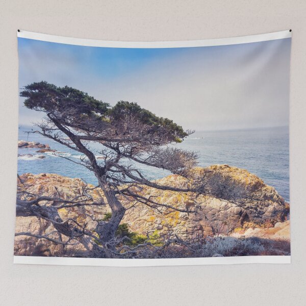 Item preview, Cypress  designed and sold by jvnimages.