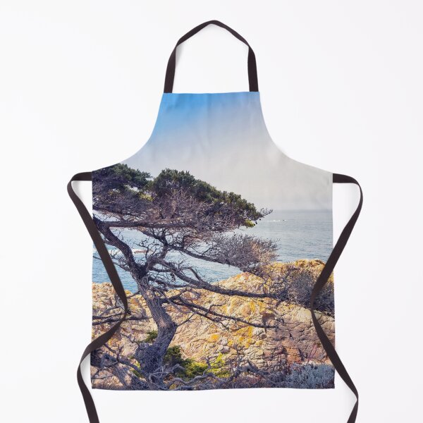 Item preview, Cypress designed and sold by jvnimages.