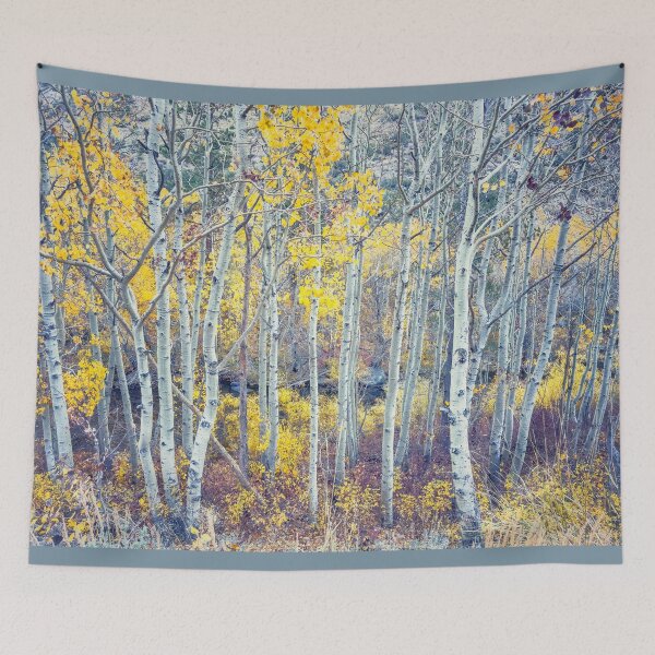 Item preview, Aspen Forest designed and sold by jvnimages.