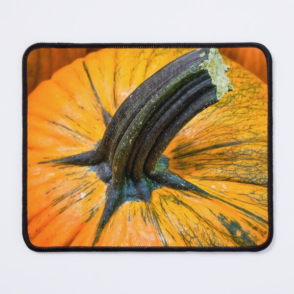 Item preview, Pumpkin designed and sold by jvnimages.