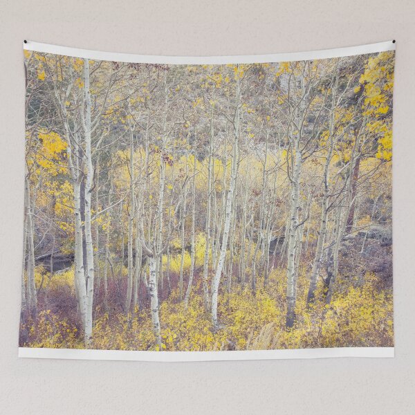 Item preview, Aspen Forest designed and sold by jvnimages.