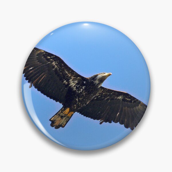 Item preview, Flying Eagle designed and sold by KingdomWildlife.