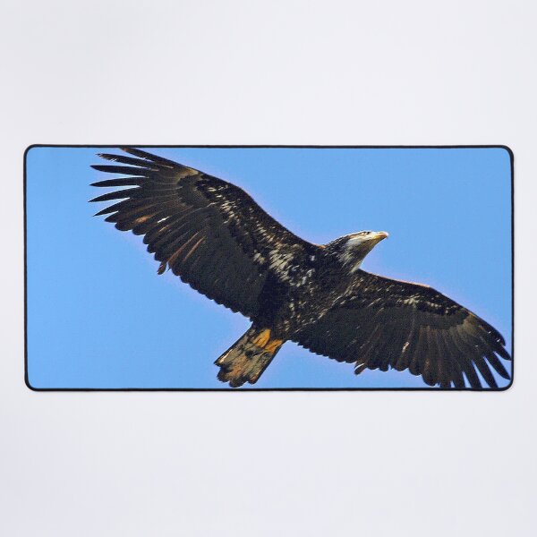 Item preview, Flying Eagle designed and sold by KingdomWildlife.