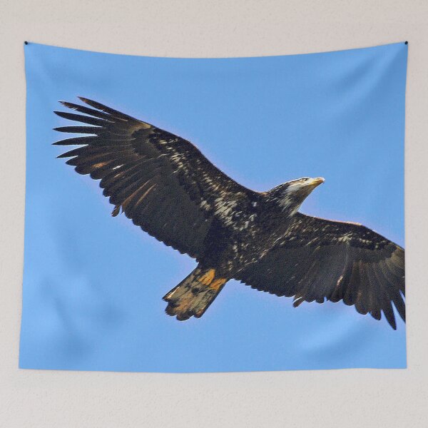 Item preview, Flying Eagle designed and sold by KingdomWildlife.