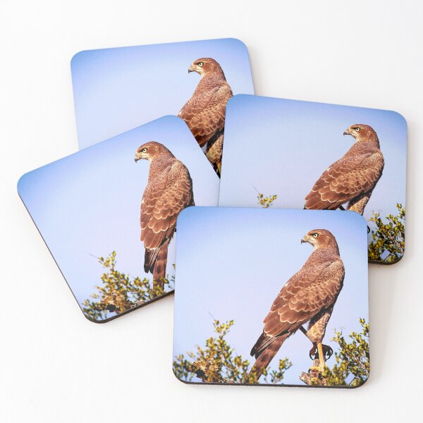 Item preview, Hawk - Bird of Prey designed and sold by KingdomWildlife.