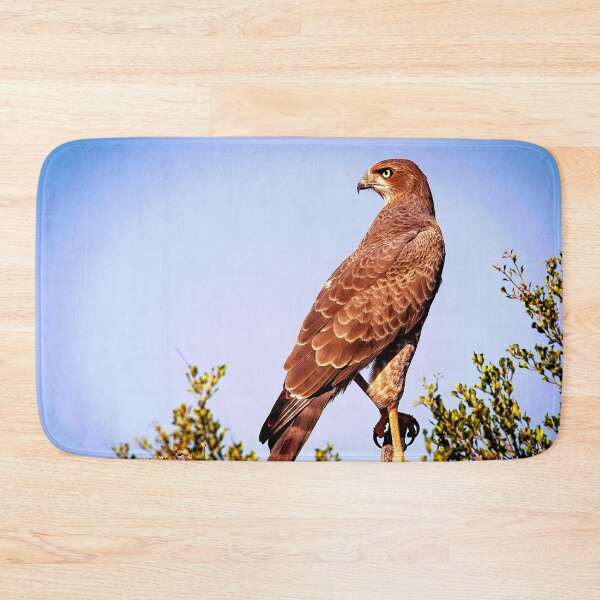 Item preview, Hawk - Bird of Prey designed and sold by KingdomWildlife.