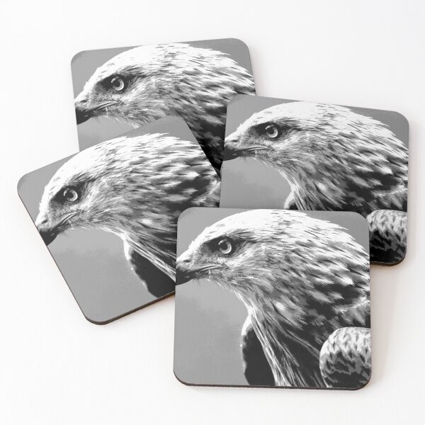 Item preview, Black and White Hawk  designed and sold by KingdomWildlife.