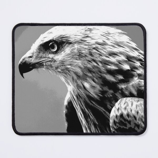 Item preview, Black and White Hawk designed and sold by KingdomWildlife.