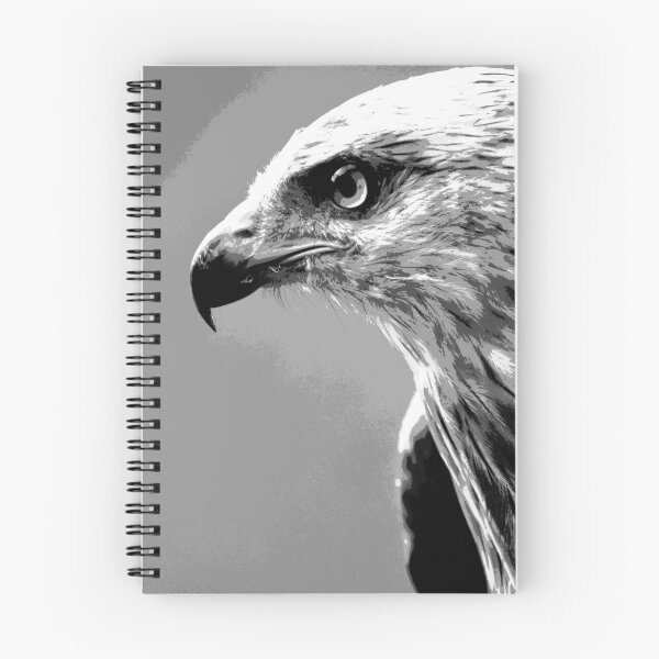 Item preview, Black and White Hawk  designed and sold by KingdomWildlife.