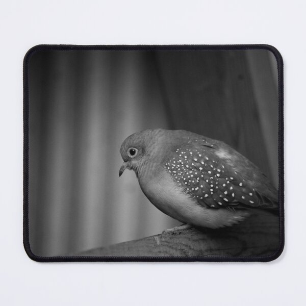 Item preview, A solitary life.... designed and sold by Jennifer Michalski.