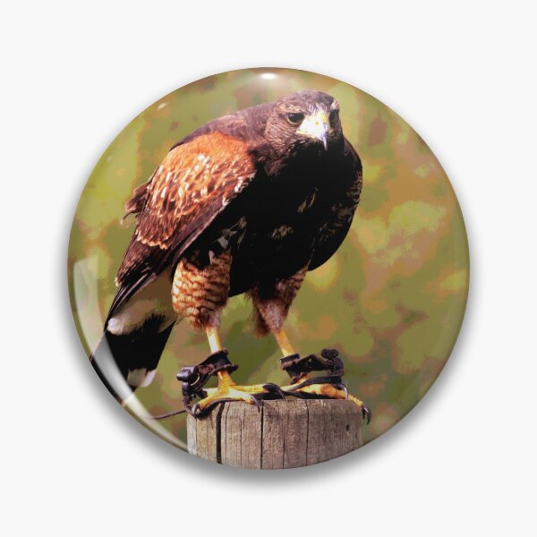 Item preview, Hawk  designed and sold by KingdomWildlife.