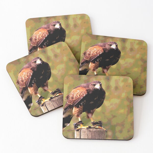 Item preview, Hawk  designed and sold by KingdomWildlife.