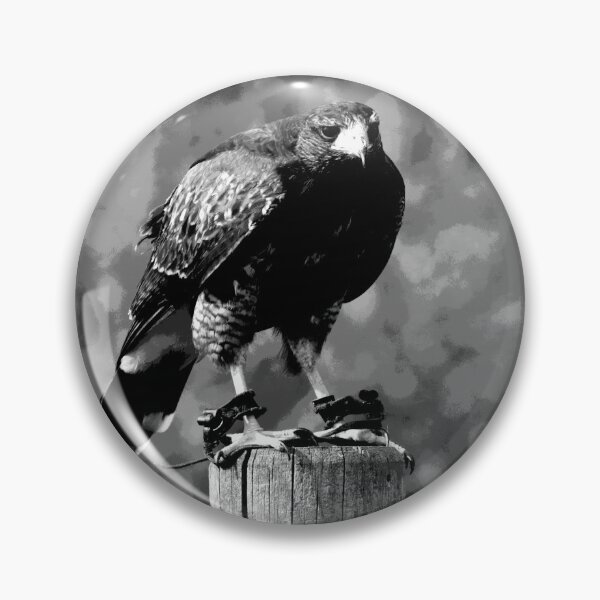 Item preview, Black and White Hawk  designed and sold by KingdomWildlife.