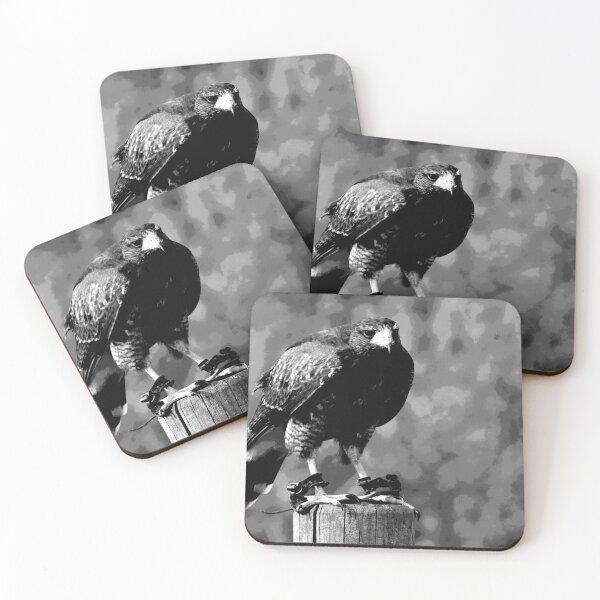 Item preview, Black and White Hawk  designed and sold by KingdomWildlife.