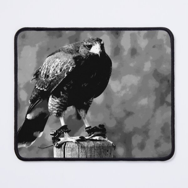 Item preview, Black and White Hawk  designed and sold by KingdomWildlife.