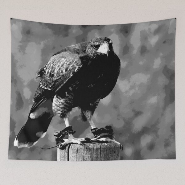 Item preview, Black and White Hawk  designed and sold by KingdomWildlife.