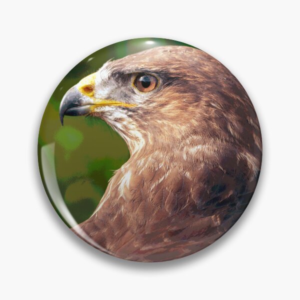 Item preview, Hawk Bird of Prey designed and sold by KingdomWildlife.