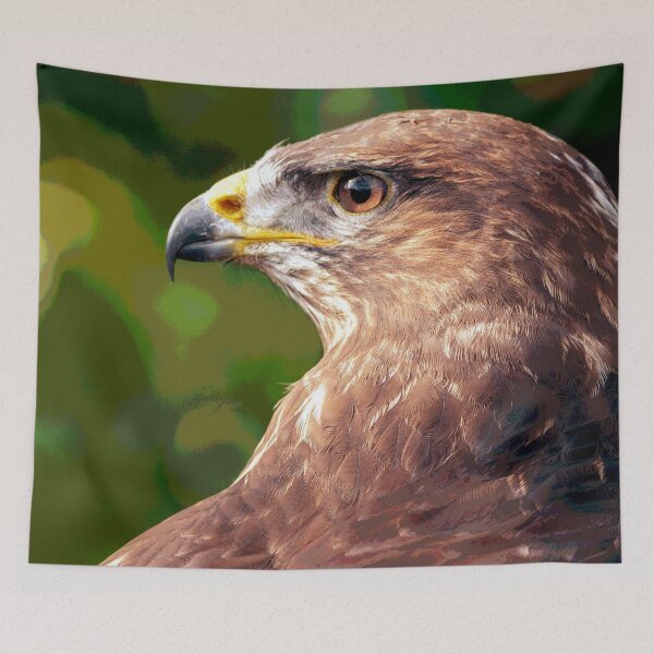 Item preview, Hawk Bird of Prey designed and sold by KingdomWildlife.