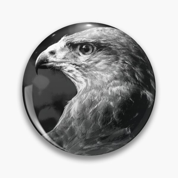 Item preview, Black and White Hawk Bird of Prey designed and sold by KingdomWildlife.