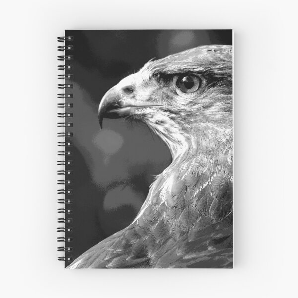 Item preview, Black and White Hawk Bird of Prey designed and sold by KingdomWildlife.