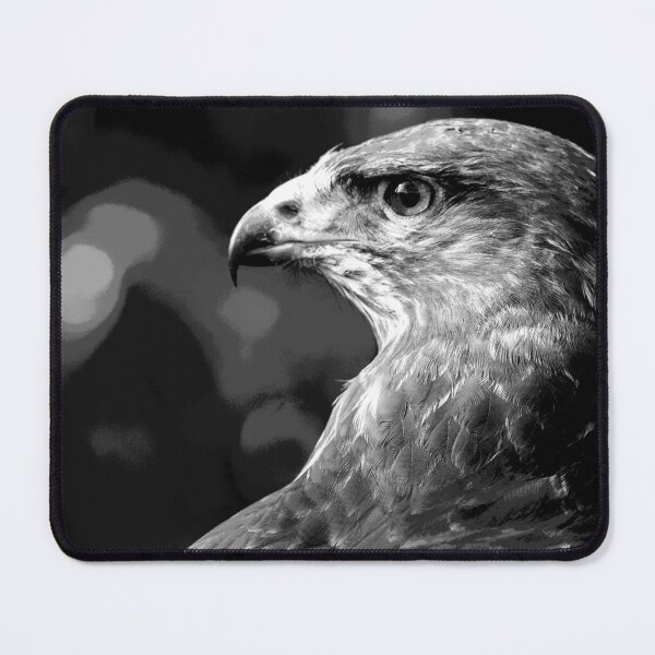 Item preview, Black and White Hawk Bird of Prey designed and sold by KingdomWildlife.