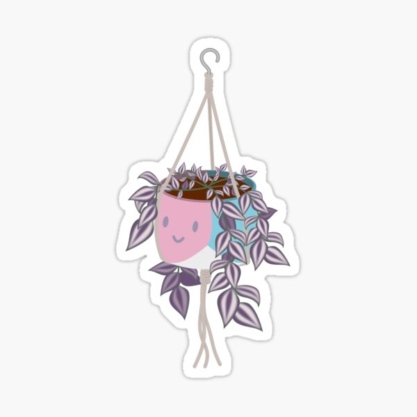 Adorable tradscantia plant happy trans pride femme pot Sticker