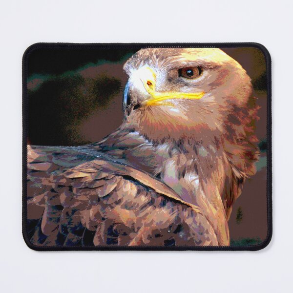 Item preview, Bird of Prey - Hawk  designed and sold by KingdomWildlife.