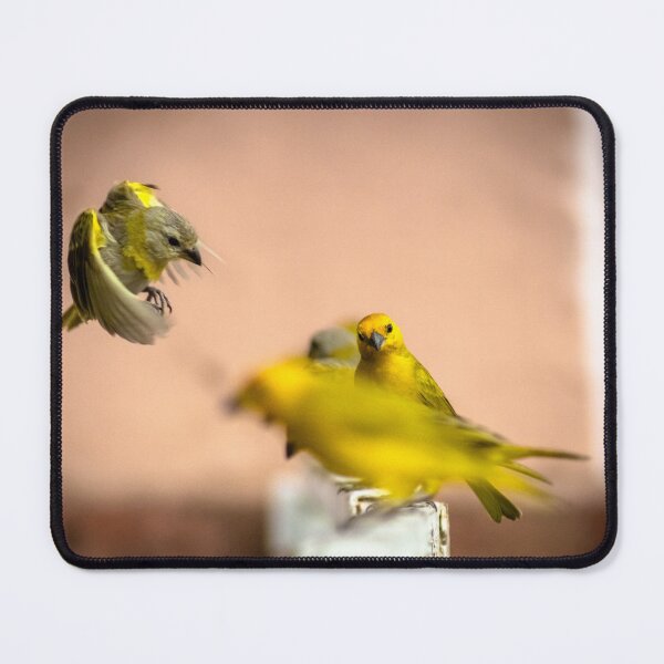 Item preview, the little canaries designed and sold by ricobarinas.