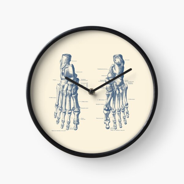 Item preview, Foot and Ankle Skeletal Diagram designed and sold by VAposters.