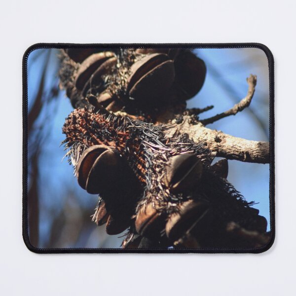 Item preview, Open seeds on a banksia pod. designed and sold by EAnneH.