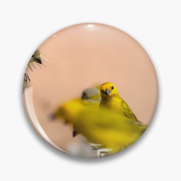 Item preview,  the little canaries designed and sold by ricobarinas.